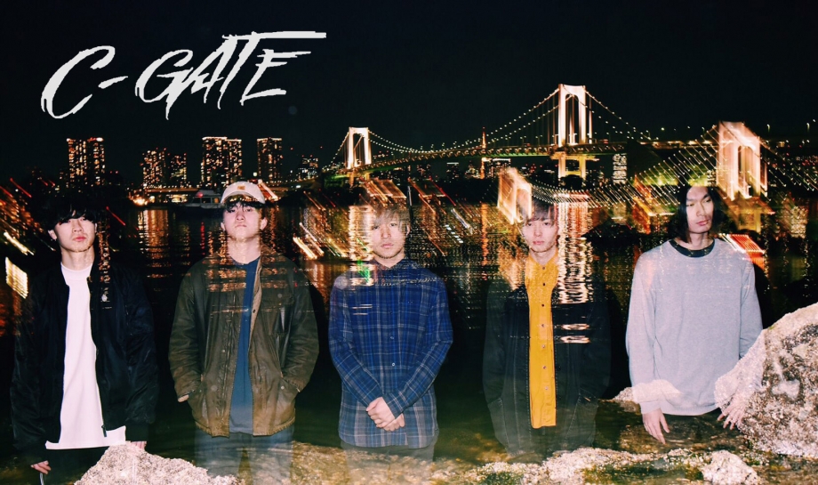C-GATE picture