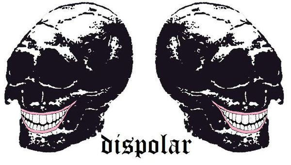 DISPOLAR picture