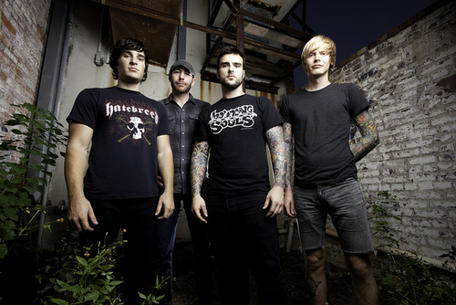 EVERGREEN TERRACE picture
