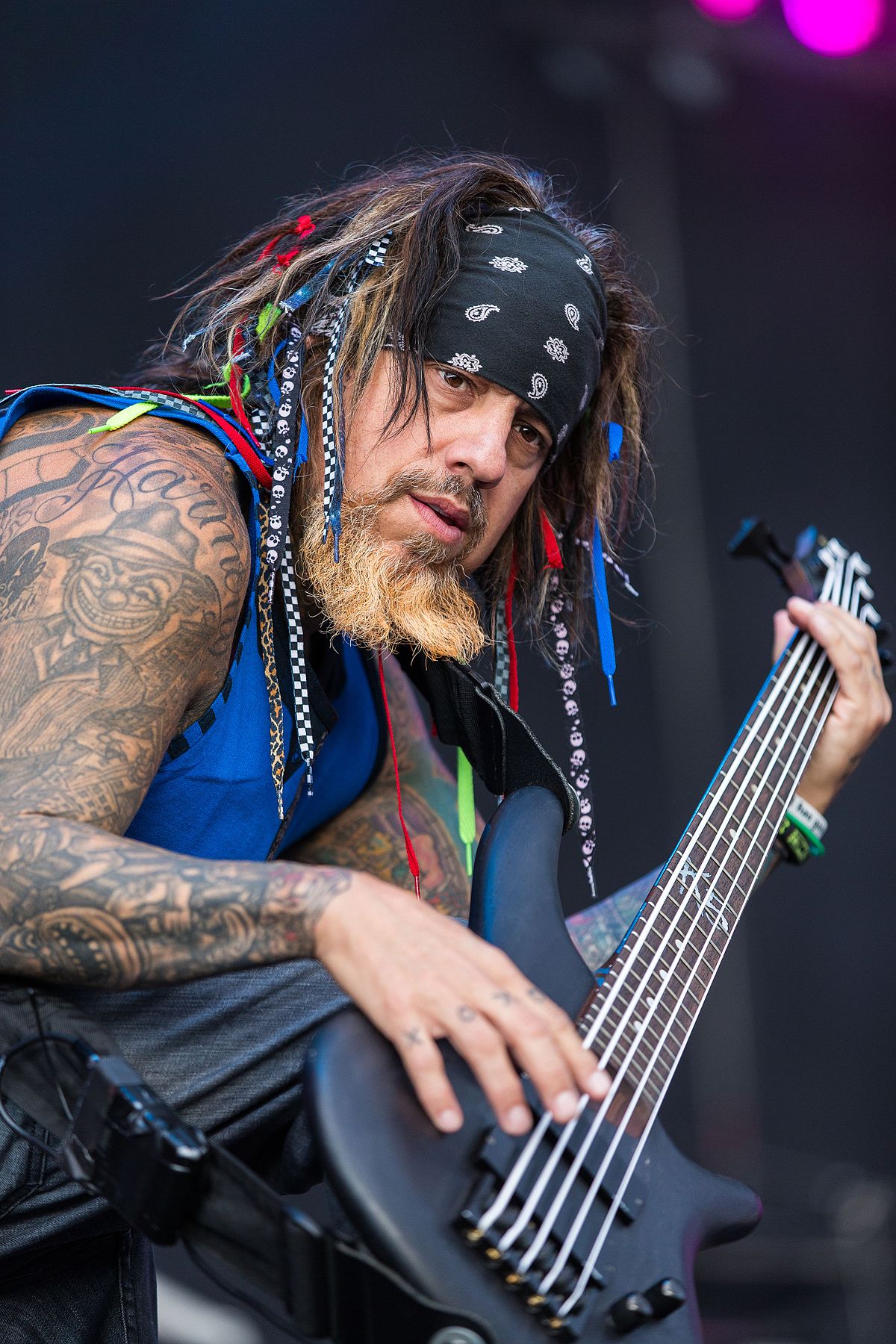 FIELDY picture