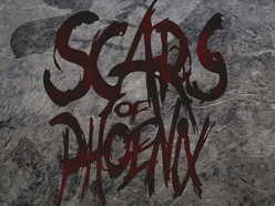 SCARS OF PHOENIX picture