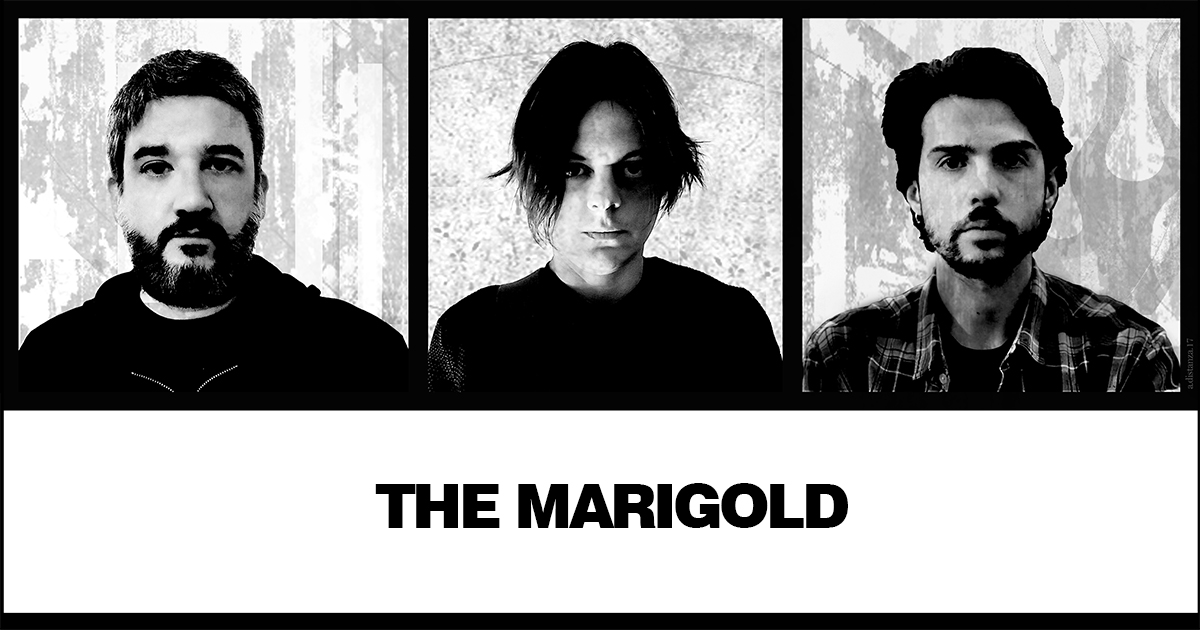 THE MARIGOLD picture