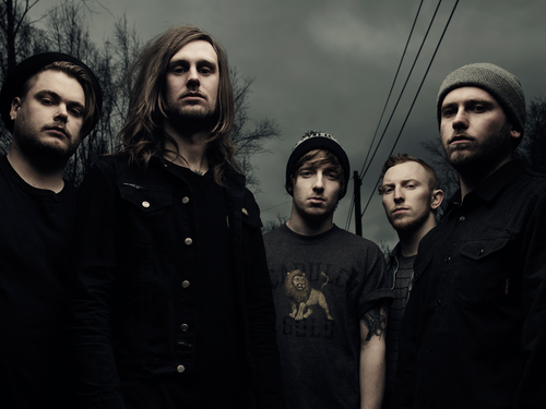WHILE SHE SLEEPS picture
