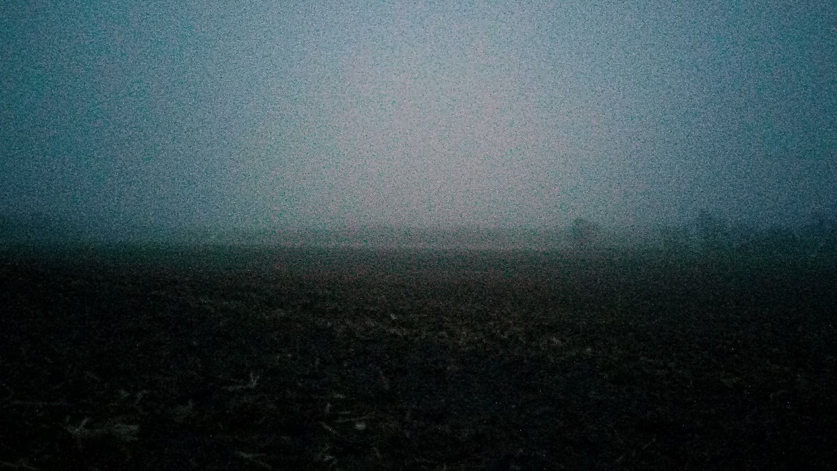 WHITE DEATH picture