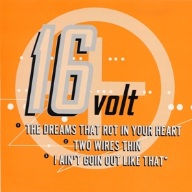 16VOLT - The Dreams That Rot in Your Heart / Two Wires Thin cover 