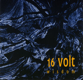 16VOLT - Wisdom cover 