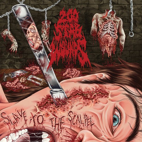 200 STAB WOUNDS - Slave To The Scalpel cover 