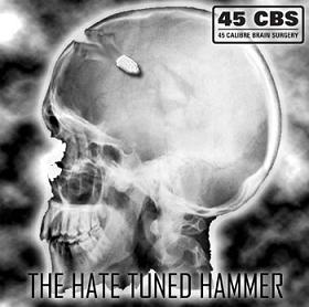 45 CALIBRE BRAIN SURGERY - The Hate Tuned Hammer cover 