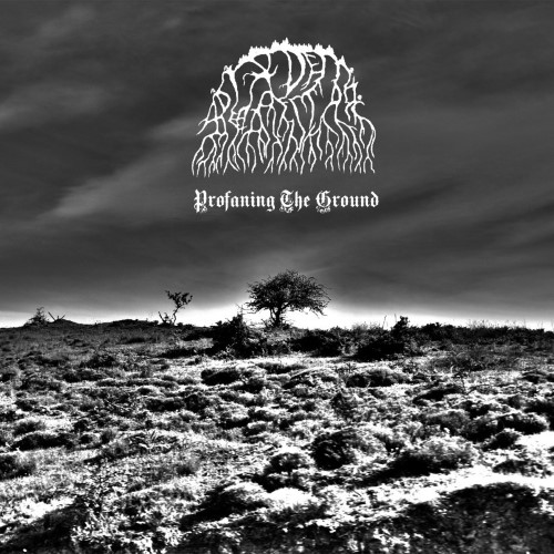 A DIADEM OF DEAD STARS - Profaning the Ground cover 
