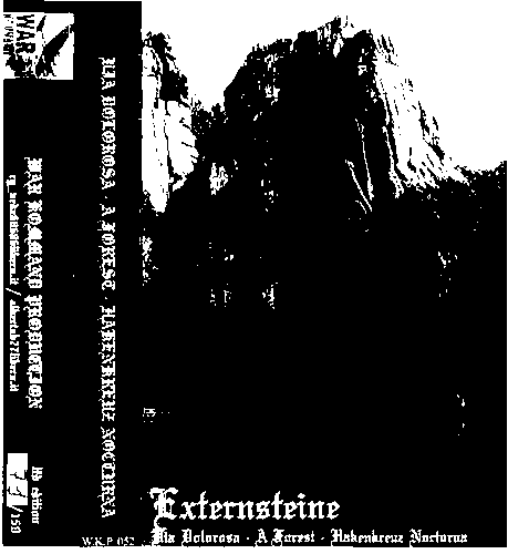 A FOREST - Externsteine cover 