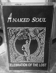 A NAKED SOUL - Celebration Of The Lost cover 