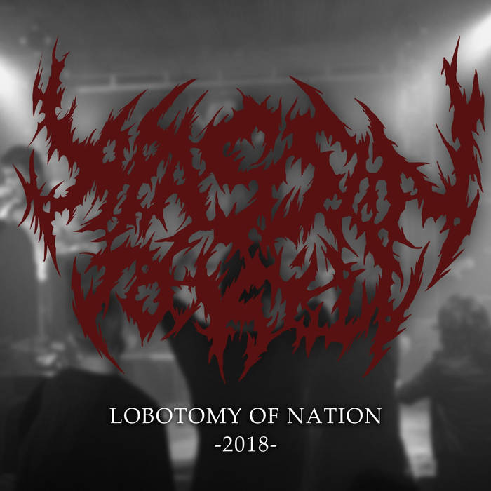 A PASSION TO KILL - Lobotomy Of Nation cover 