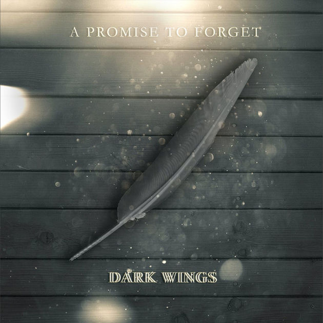 A PROMISE TO FORGET - Dark Wings cover 