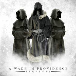 A WAKE IN PROVIDENCE - Through The Eyes Of A Traitor cover 