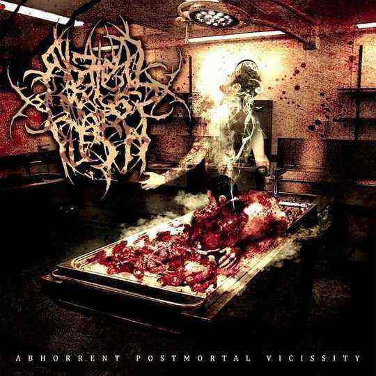 ABATED MASS OF FLESH - Abhorrent Postmortal Vicissity cover 