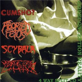 ABORTED FETUS - Goreconception Reality cover 