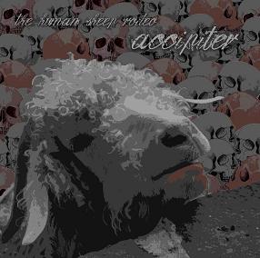 ACCIPITER - The Human Sheep Rodeo cover 