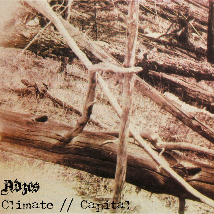 ADZES - Climate // Capital cover 