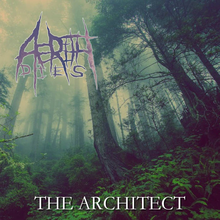AERITH DIES - The Architect cover 