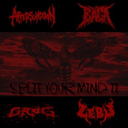 AFTERSUNDOWN - Split Your Mind II cover 