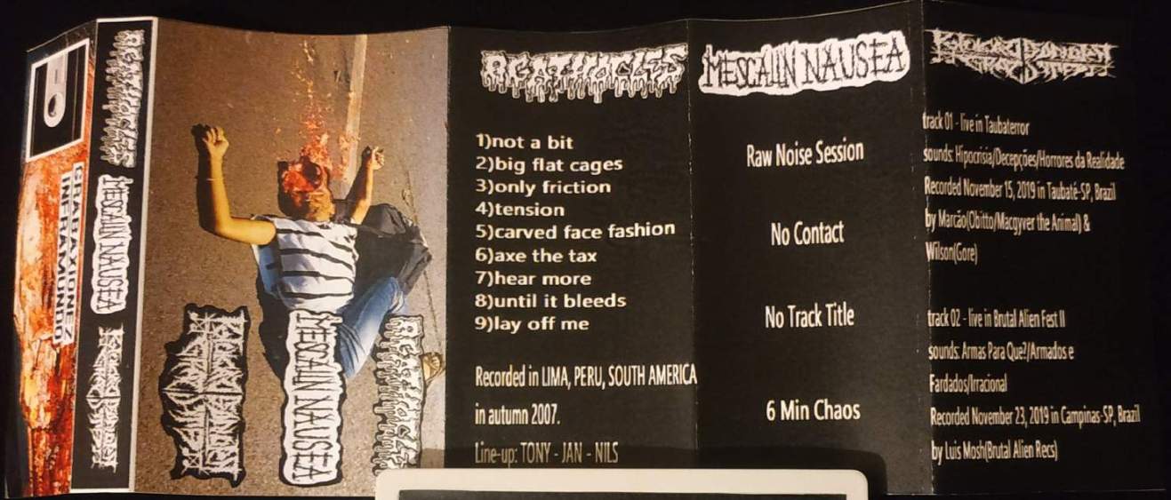 AGATHOCLES - Agathocles / Mescalin Nausea / Poluicao Sonora Gratuita Nausea / Poluicao Sonora Gratuita cover 