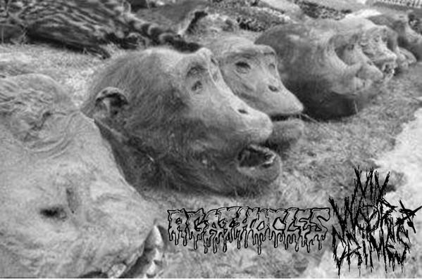 AGATHOCLES - Agathocles / My War Crimes cover 