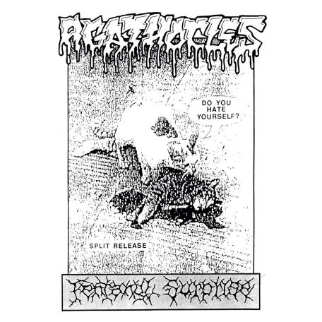 AGATHOCLES - Do You Hate Yourself? cover 