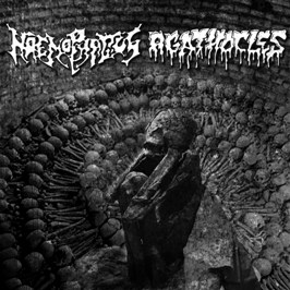 AGATHOCLES - Haemophagus / Agathocles cover 