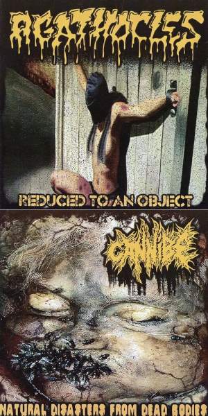 AGATHOCLES - Reduced to an Object / Natural Disasters from Dead Bodies cover 