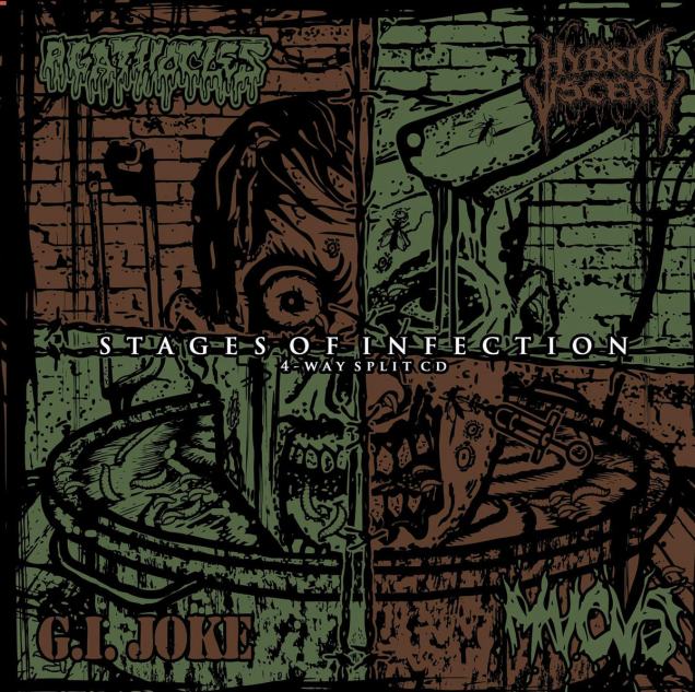 AGATHOCLES - Stages of Infection cover 