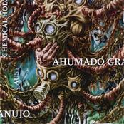 AHUMADO GRANUJO - Chemical Holocaust cover 