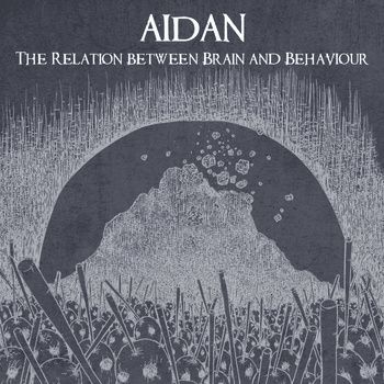AIDAN - The Relation Between Brain And Behaviour cover 