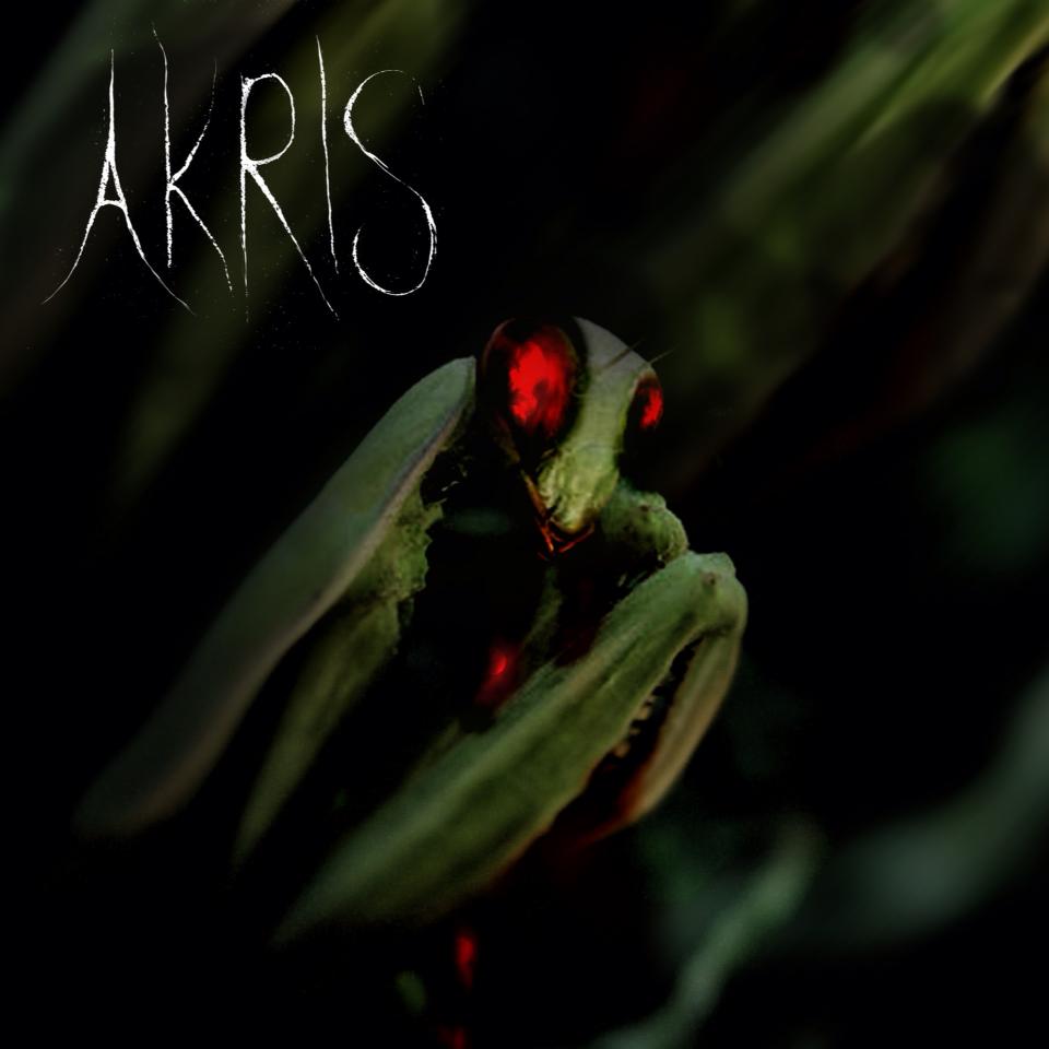 AKRIS - Akris cover 