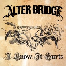 ALTER BRIDGE - I Know It Hurts cover 