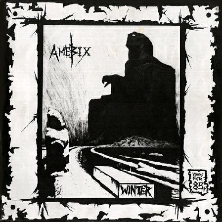 AMEBIX - Winter cover 