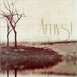 AMYST - Seeker cover 