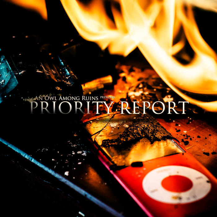 AN OWL AMONG RUINS - Priority Report cover 