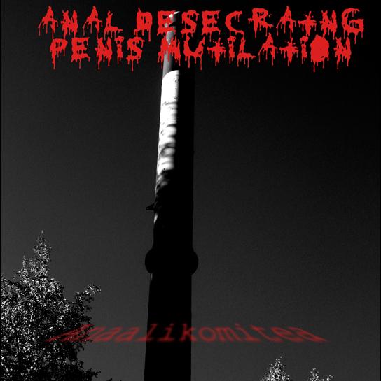ANAL DESECRATING PENIS MUTILATION - Anaalikomitea cover 