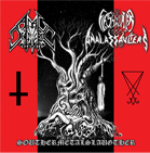 ANAL DESTRUCTOR - Southernmetalslaughter cover 
