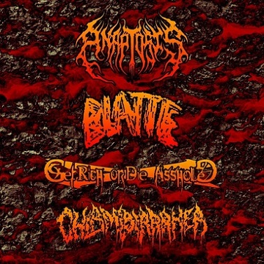 ANAPTOSIS - Anaptosis / Blatte / Get Rich Or Die Asshole / Chlamydiarrhea cover 
