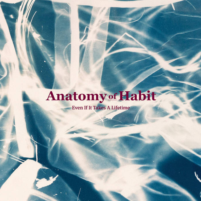 ANATOMY OF HABIT - Even If It Takes A Lifetime cover 