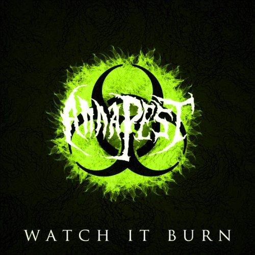 ANNA PEST - Watch it Burn cover 