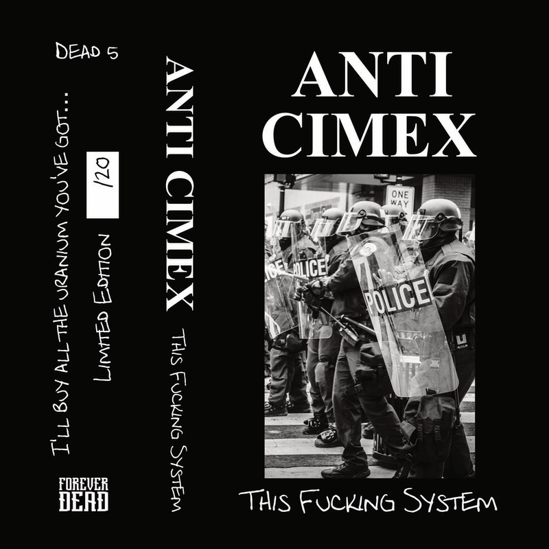 ANTI-CIMEX - This Fucking System cover 