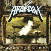 ARAKAIN - Forrest Gump cover 