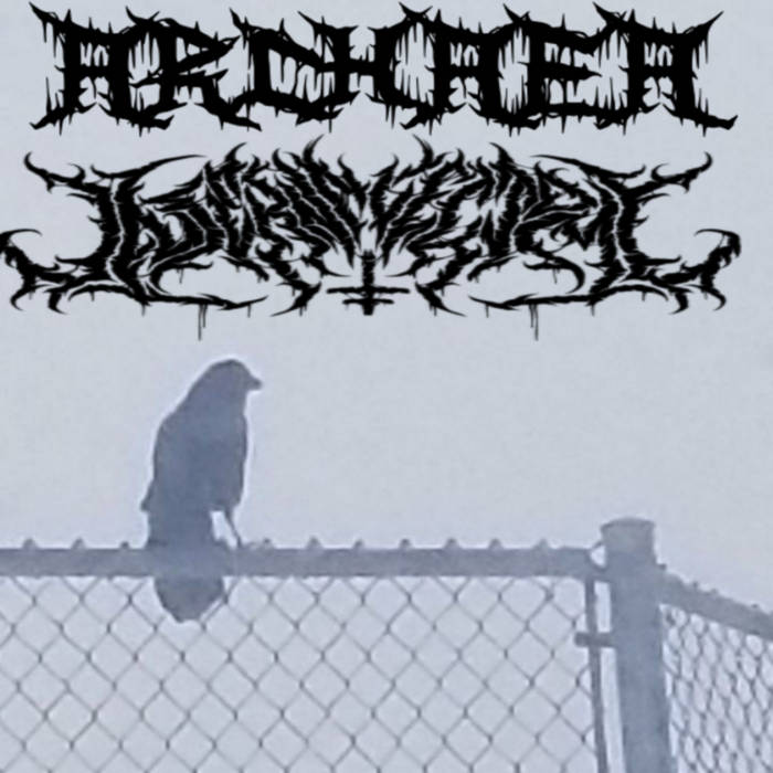 ARCHAEA (MN) - Archaea / Infernalectomy cover 
