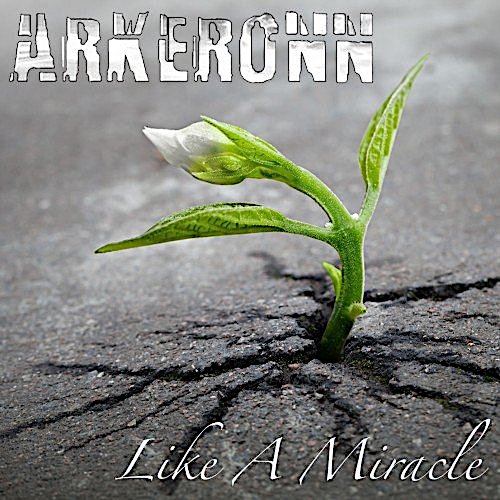 ARKERONN - Like A Miracle cover 