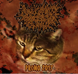 ARSCHLOCH DER DAS - Promo 2017 cover 