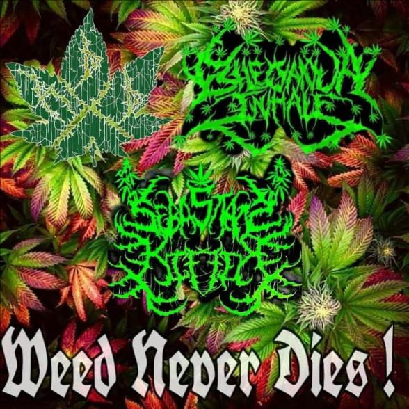 ARSCHLOCH DER DAS - Weed Never DIes ! cover 