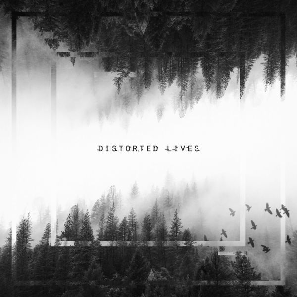AS THE STRUCTURE FAILS - Distorted Lives cover 
