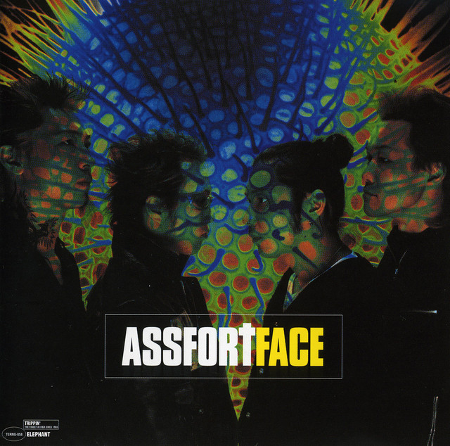 ASSFORT - Face cover 